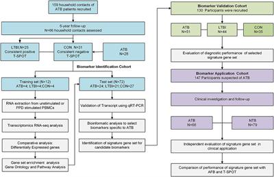 Transcriptional Profiling of Human Peripheral Blood Mononuclear Cells Identifies Diagnostic Biomarkers That Distinguish Active and Latent Tuberculosis